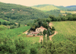 Winery with agritourism in Tuscany