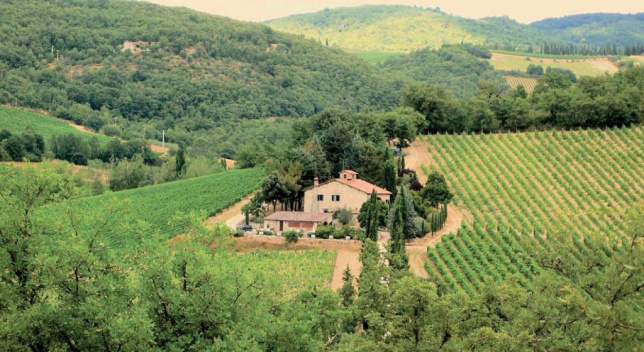 Winery with agritourism in Tuscany